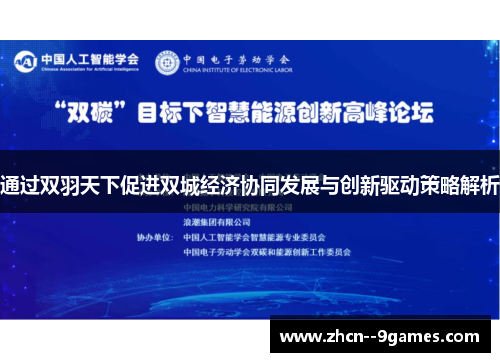 通过双羽天下促进双城经济协同发展与创新驱动策略解析 通过双羽天下促进双城经济协同发展与创新驱动策略解析